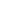 Twitter Icon