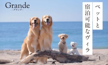 ペットと宿泊可能なヴィラ（villa）ならGrande（グランデ）！選び方も解説