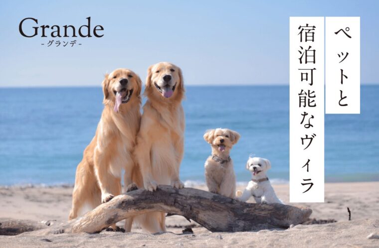 ペットと宿泊可能なヴィラ（villa）ならGrande（グランデ）！選び方も解説
