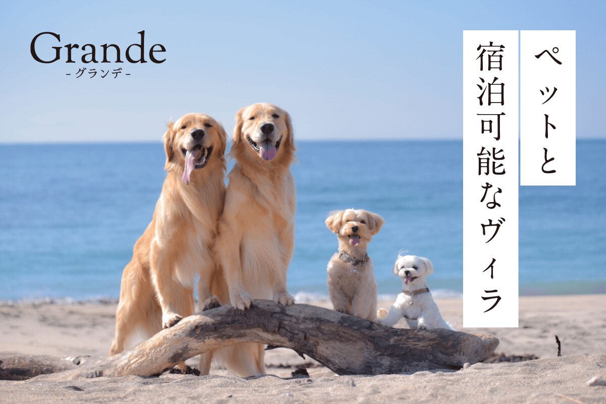 プライベートヴィラグランピング富士山中湖のリビングの様子