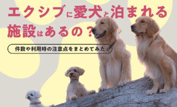 エクシブに愛犬と泊まれる施設はあるの？件数や利用時の注意点をまとめてみた
