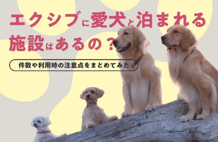 エクシブに愛犬と泊まれる施設はあるの？件数や利用時の注意点をまとめてみた