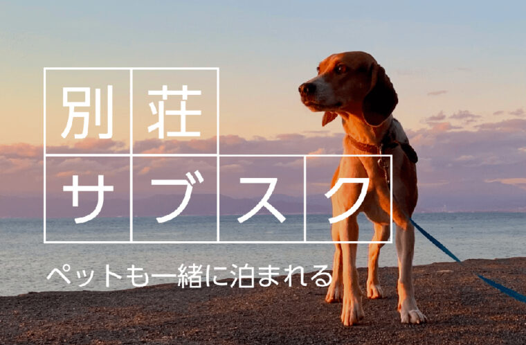 ペット可のおすすめ別荘サブスクをご紹介！サービスの選び方や注意点も