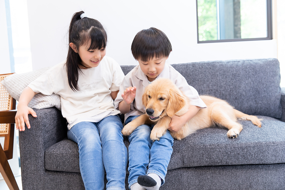 プライベートヴィラグランピング富士山中湖のソファでワンちゃんとくつろぐ子どもたち