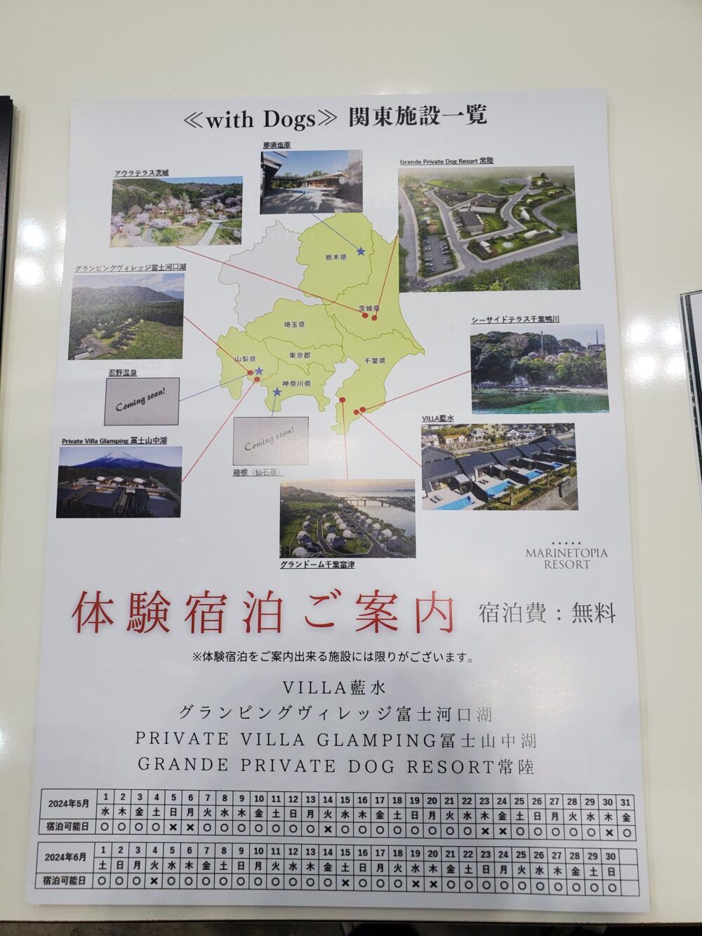 Grande展示物