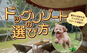 ドッグリゾートの選び方！愛犬と泊まれる・ドッグラン付きリゾートを紹介