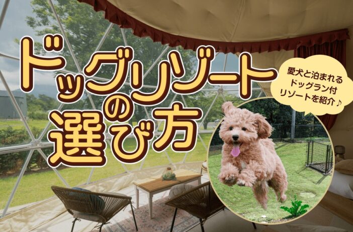 ドッグリゾートの選び方！愛犬と泊まれる・ドッグラン付きリゾートを紹介