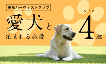 東急ハーヴェストクラブの犬と泊まれる施設4選。ペットと泊まる注意点も
