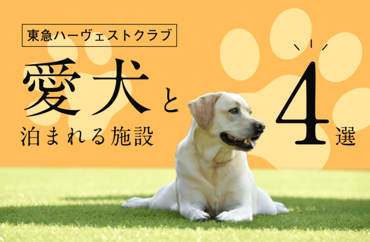 東急ハーヴェストクラブの犬と泊まれる施設4選。ペットと泊まる注意点も