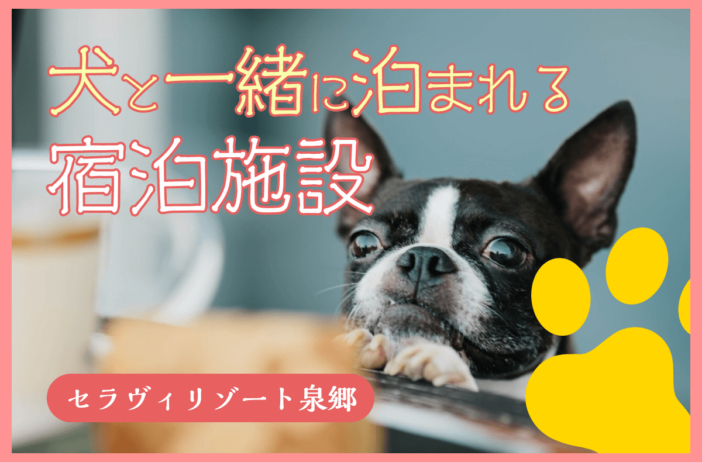 犬と泊まれるセラヴィリゾート泉郷の宿泊施設！プライベート重視ならGrande（グランデ）も視野に