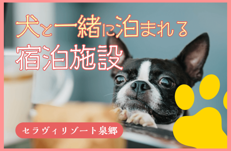 犬と泊まれるセラヴィリゾート泉郷の宿泊施設！プライベート重視ならGrande（グランデ）も視野に