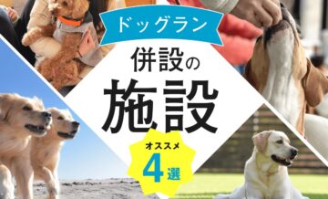 【エクシブ】ドッグランが併設されている施設4選！「Grande（グランデ）」がおすすめの理由とは？