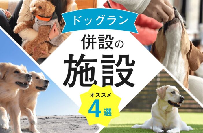 【エクシブ】ドッグランが併設されている施設4選！「Grande（グランデ）」がおすすめの理由とは？