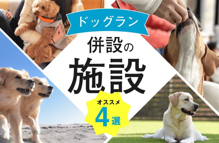 【エクシブ】ドッグランが併設されている施設4選！「Grande（グランデ）」がおすすめの理由とは？