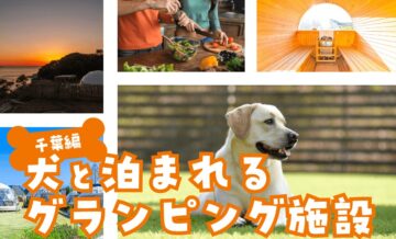 千葉で犬と泊まれるグランピング施設を紹介！ペットとプライベート重視の滞在ならGrande（グランデ）