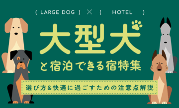 【全国】大型犬と宿泊できる宿特集！選び方や快適に過ごすための注意点を解説