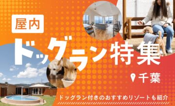【無料あり】千葉の屋内ドッグラン特集！ドッグラン付きのおすすめリゾートも紹介