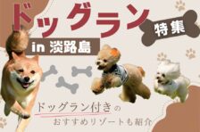 【無料あり】淡路島のドッグラン特集！ドッグラン付きのおすすめリゾートも紹介