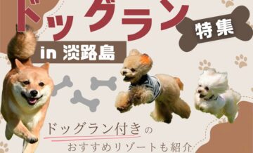 【無料あり】淡路島のドッグラン特集！ドッグラン付きのおすすめリゾートも紹介