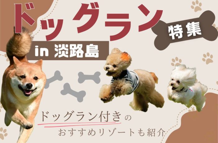 【無料あり】淡路島のドッグラン特集！ドッグラン付きのおすすめリゾートも紹介
