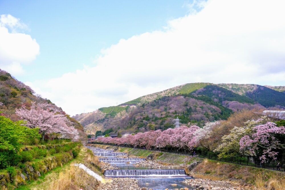 箱根